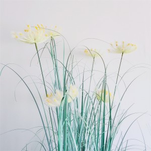 Onion Grass OG-YCC-044
